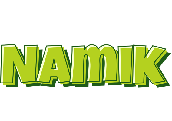 Namik summer logo