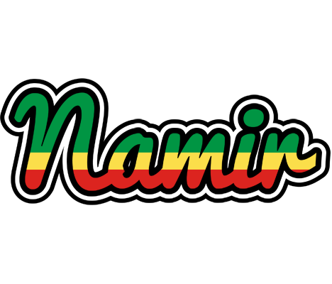 Namir african logo