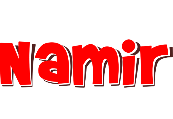 Namir basket logo