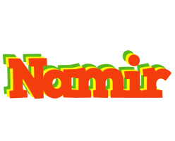 Namir bbq logo