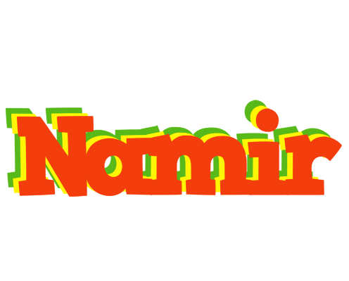 Namir bbq logo