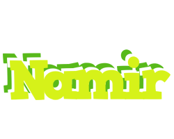 Namir citrus logo