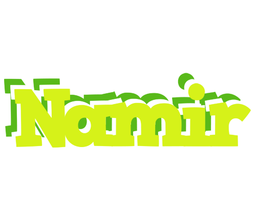 Namir citrus logo