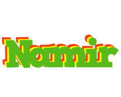 Namir crocodile logo