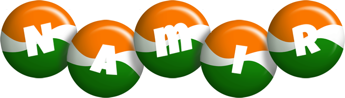 Namir india logo