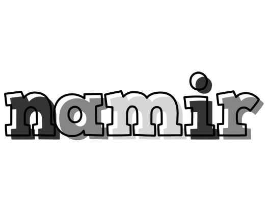 Namir night logo