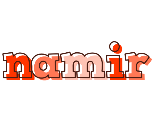 Namir paint logo