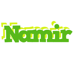 Namir picnic logo