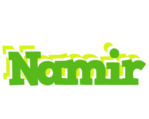 Namir picnic logo