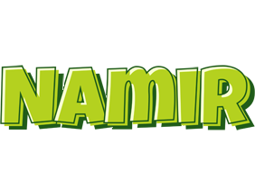 Namir summer logo