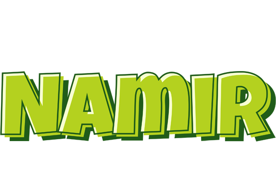 Namir summer logo