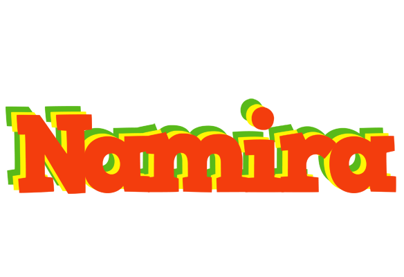 Namira bbq logo