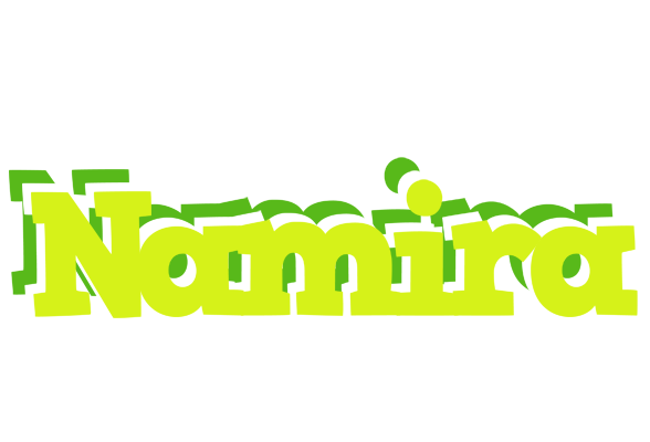 Namira citrus logo