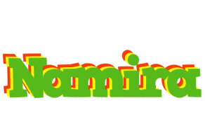 Namira crocodile logo