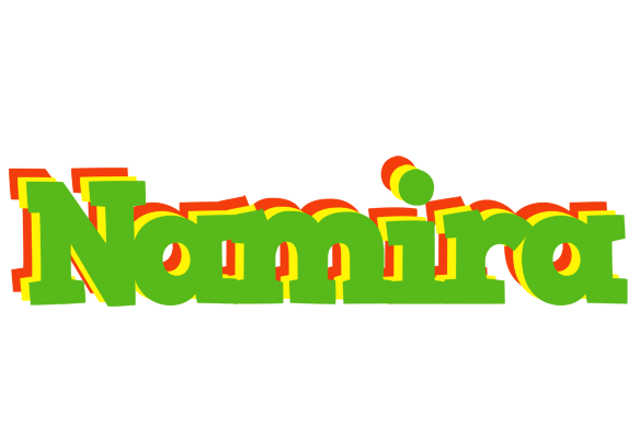 Namira crocodile logo