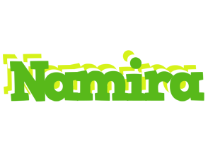 Namira picnic logo