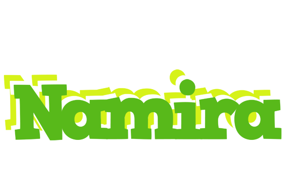 Namira picnic logo