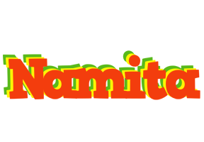 Namita bbq logo