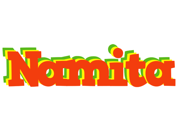 Namita bbq logo