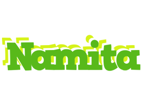 Namita picnic logo