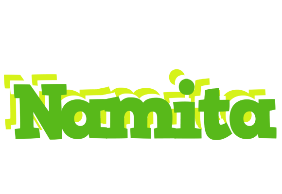 Namita picnic logo