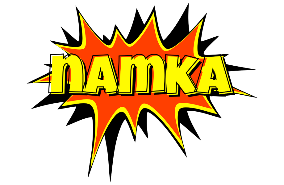 Namka bazinga logo