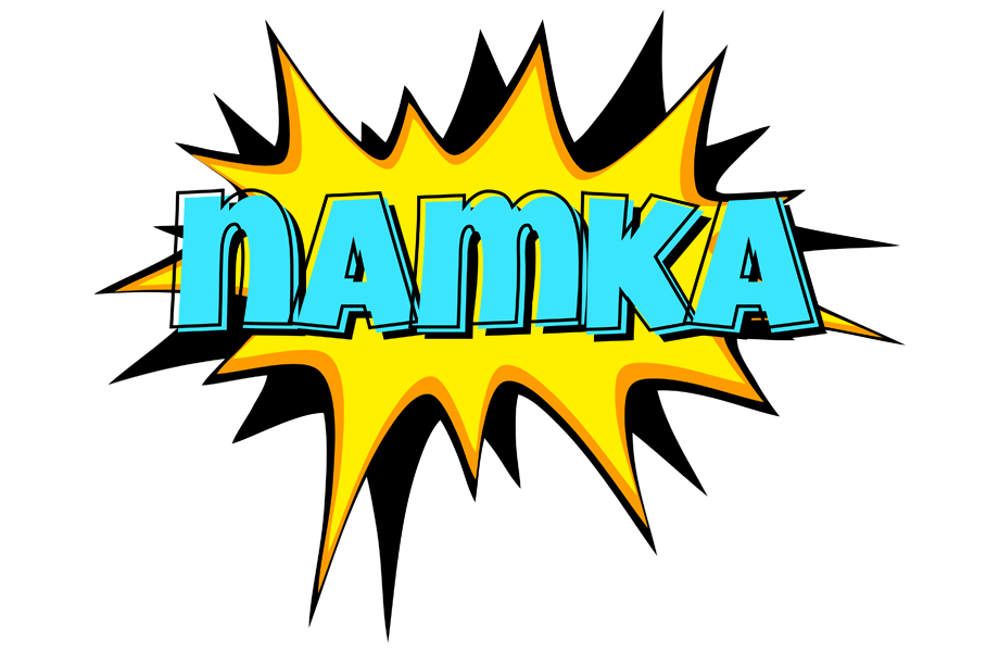 Namka indycar logo