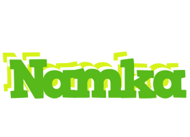 Namka picnic logo