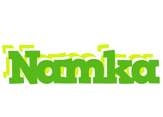 Namka picnic logo