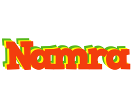 Namra bbq logo