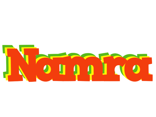 Namra bbq logo