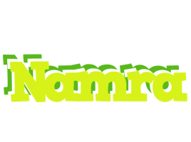 Namra citrus logo