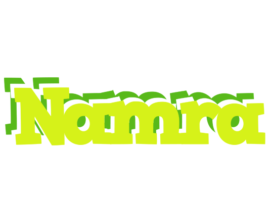 Namra citrus logo
