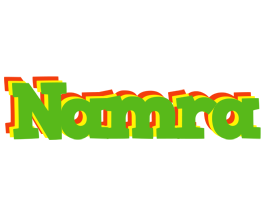 Namra crocodile logo