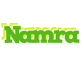 Namra picnic logo