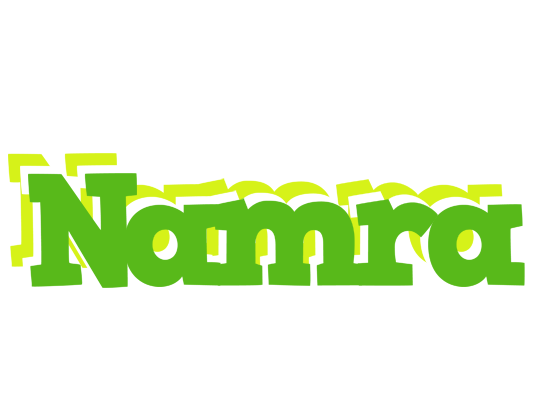 Namra picnic logo