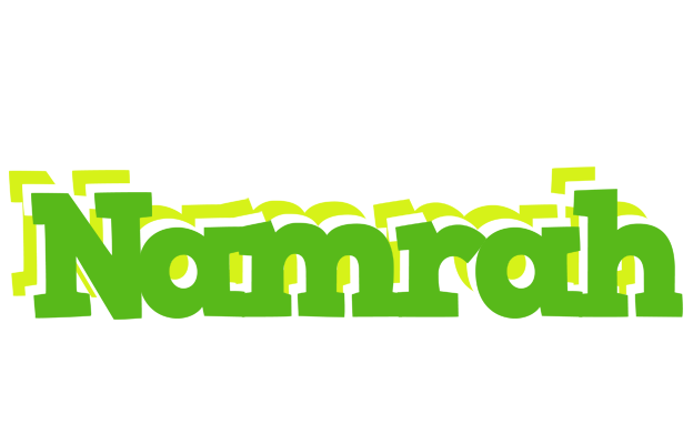 Namrah picnic logo