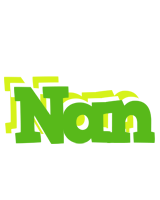 Nan picnic logo