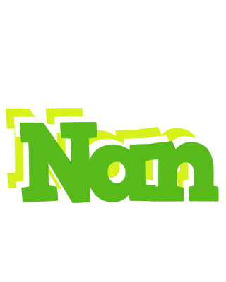 Nan picnic logo