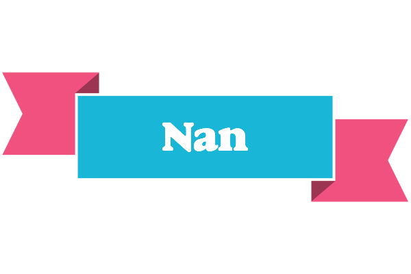 Nan today logo