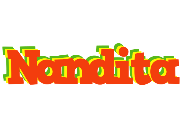 Nandita bbq logo