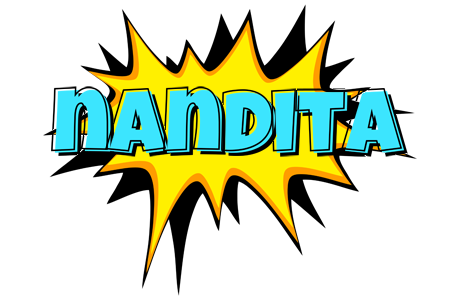 Nandita indycar logo