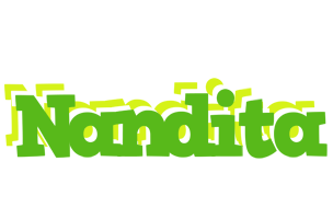 Nandita picnic logo