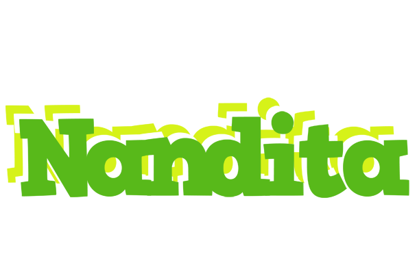 Nandita picnic logo