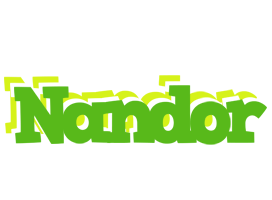 Nandor picnic logo