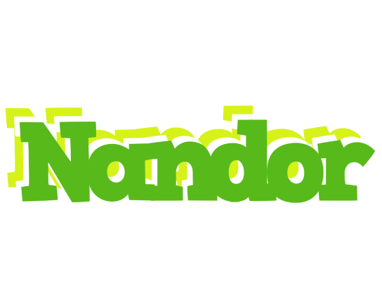 Nandor picnic logo