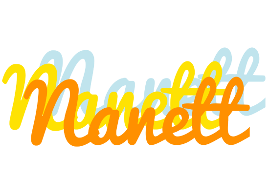 Nanett energy logo