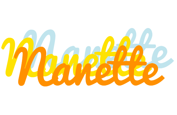 Nanette energy logo