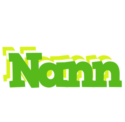 Nann picnic logo