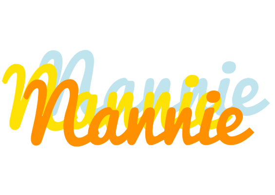 Nannie energy logo